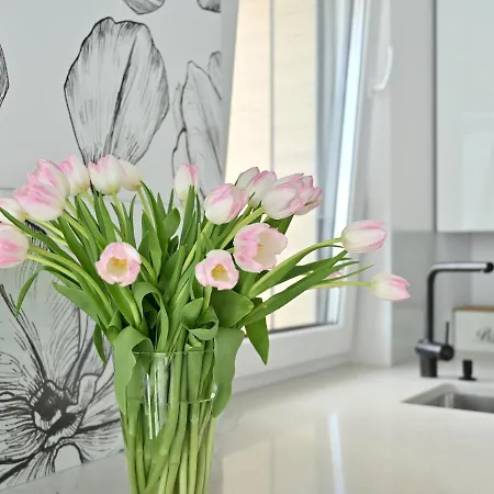 Apartamento Atmosphere Nexo Na Klifie Puck