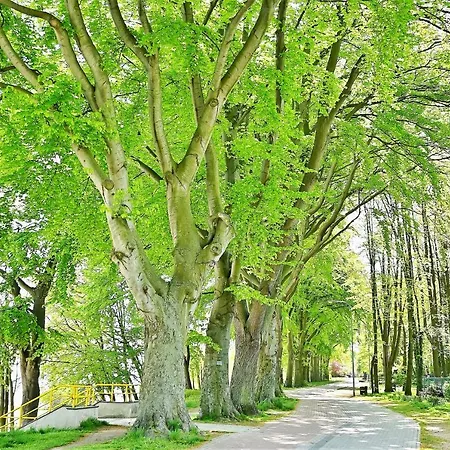 アパート Atmosphere Nexo Na Klifie