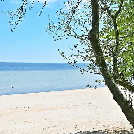 Atmosphere Nexo Na Klifie *