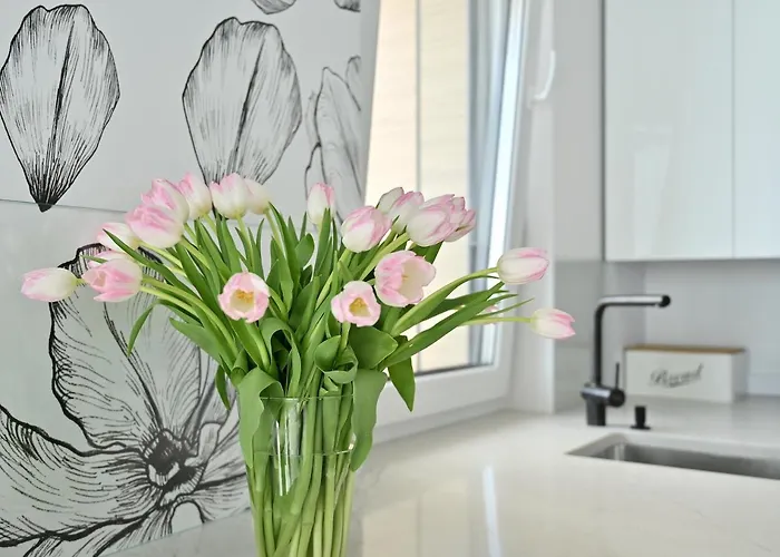 Apartamento Atmosphere Nexo Na Klifie Puck