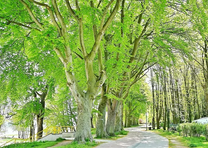 Apartamento Atmosphere Nexo Na Klifie